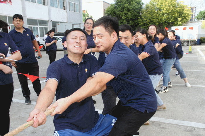拔河2.gif