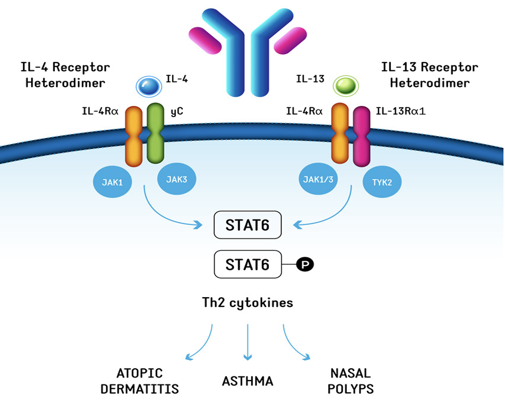 微信图片_20231124165854.png 微信图片_20231124165854.png