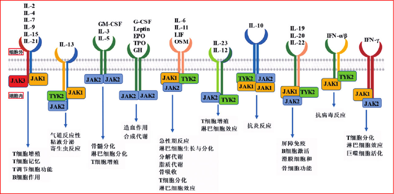 微信图片_20231201114952.png