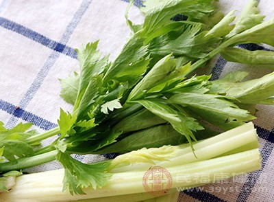 想要瘦小腹，应该多吃芹菜