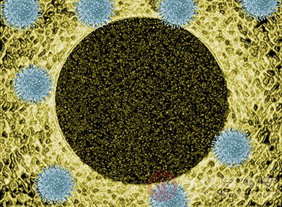 甲流是由于感染了甲型H1N1流感病毒诱发的