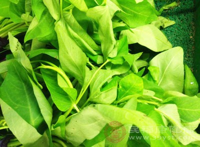 新鲜蔬菜水果是人体健康所必需的营养来源，同时也有助于预防胃癌