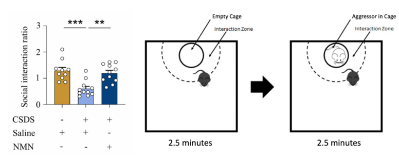 1568a25041705e22d8e01e74822f7428.png 1568a25041705e22d8e01e74822f7428.png