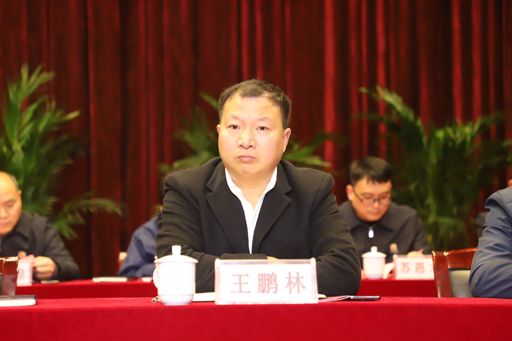 王鹏林.JPG